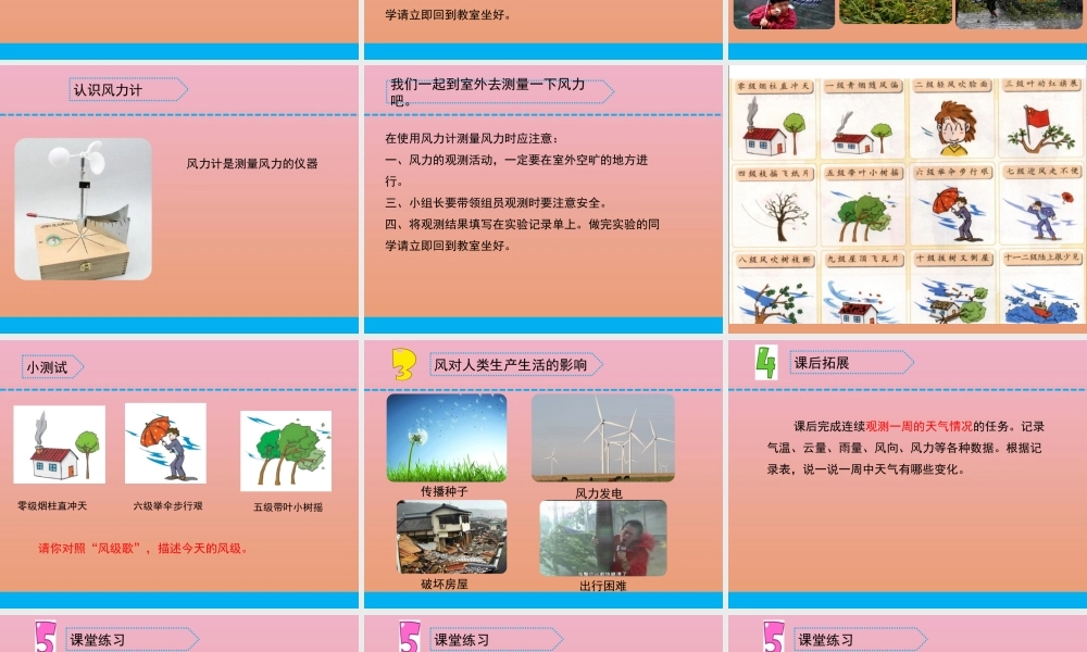 三年级科学下册 第五单元 观测天气 18 风力和风向课件3 苏教版-苏教版小学三年级下册自然科学课件