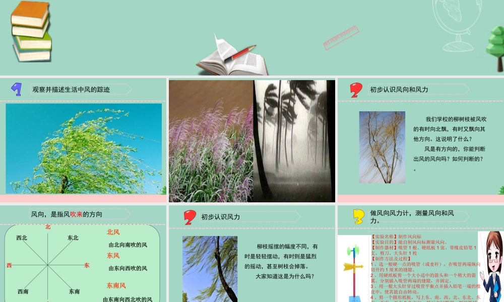 三年级科学下册 第五单元 观测天气 18 风力和风向课件4 苏教版-苏教版小学三年级下册自然科学课件