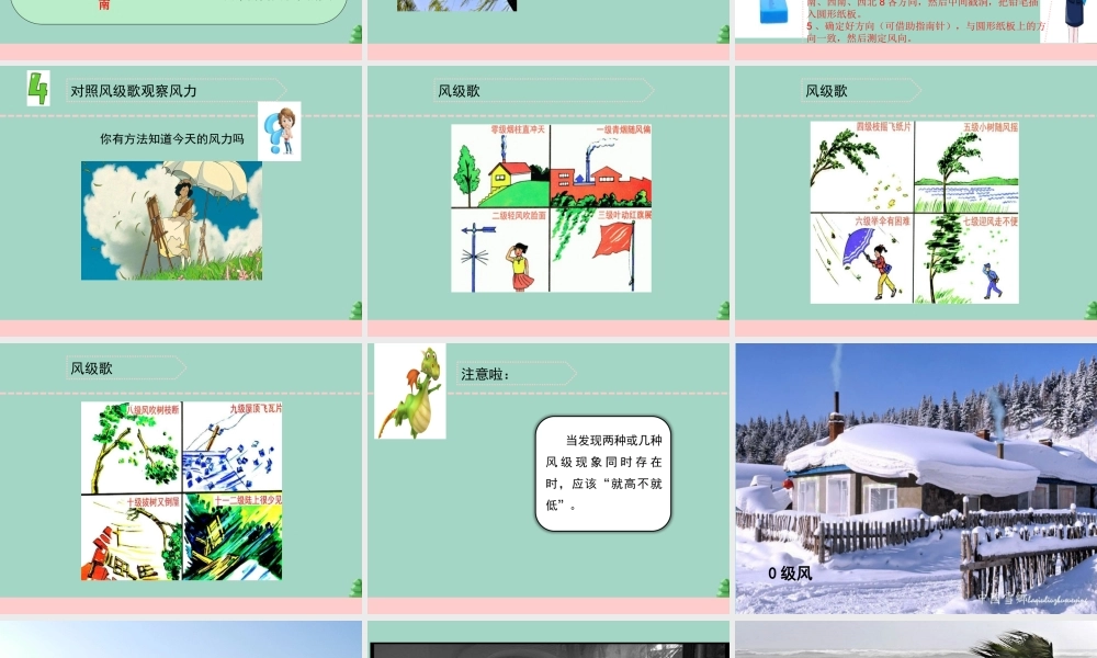 三年级科学下册 第五单元 观测天气 18 风力和风向课件4 苏教版-苏教版小学三年级下册自然科学课件