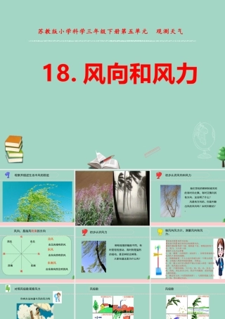 三年级科学下册 第五单元 观测天气 18 风力和风向课件4 苏教版-苏教版小学三年级下册自然科学课件