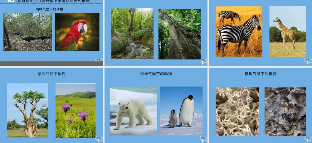 三年级科学下册 第五单元 观测天气 19 天气和气候课件 苏教版-苏教版小学三年级下册自然科学课件