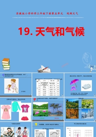 三年级科学下册 第五单元 观测天气 19 天气和气候课件 苏教版-苏教版小学三年级下册自然科学课件