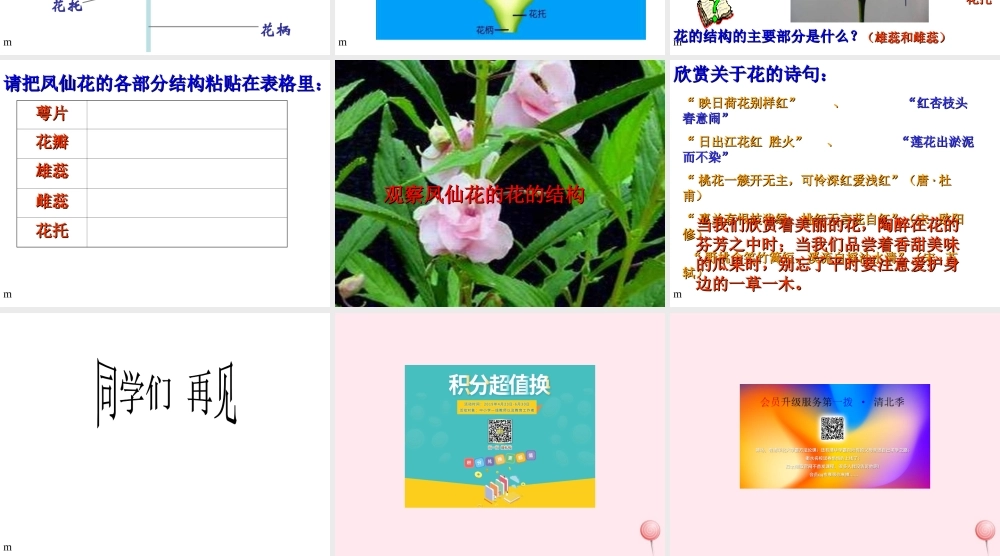 三年级科学下册 第一单元 第3课《开花了》课件1 鄂教版-鄂教版小学三年级下册自然科学课件