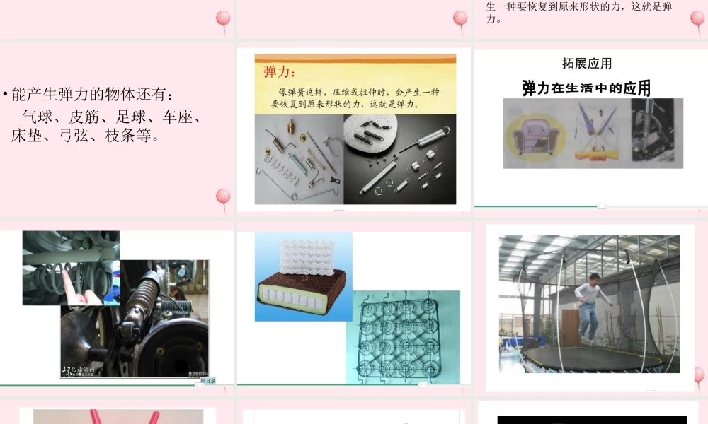 三年级科学下册 第一单元 第4课《弹簧里的学问》课件1 青岛版五四制-青岛版小学三年级下册自然科学课件