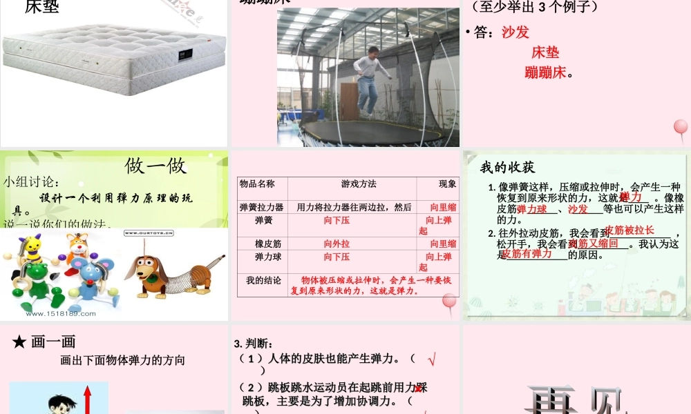 三年级科学下册 第一单元 第4课《弹簧里的学问》课件3 青岛版五四制-青岛版小学三年级下册自然科学课件