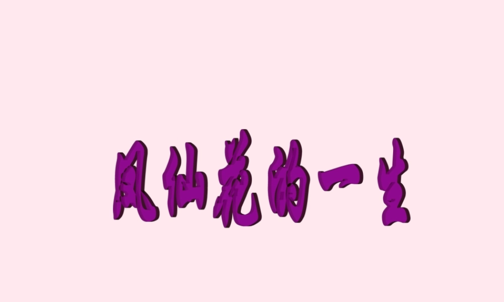 三年级科学下册 第一单元 第5课《凤仙花的一生》课件2 鄂教版-鄂教版小学三年级下册自然科学课件