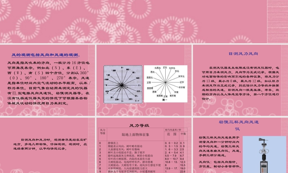 三年级科学下册 风的观测 1课件 首师大版
