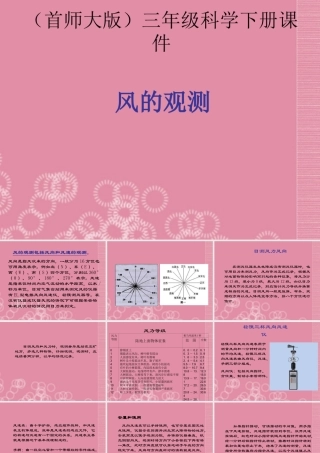 三年级科学下册 风的观测 1课件 首师大版