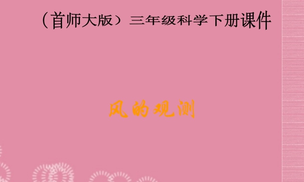 三年级科学下册 风的观测 3课件 首师大版