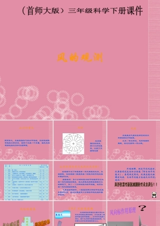 三年级科学下册 风的观测 3课件 首师大版