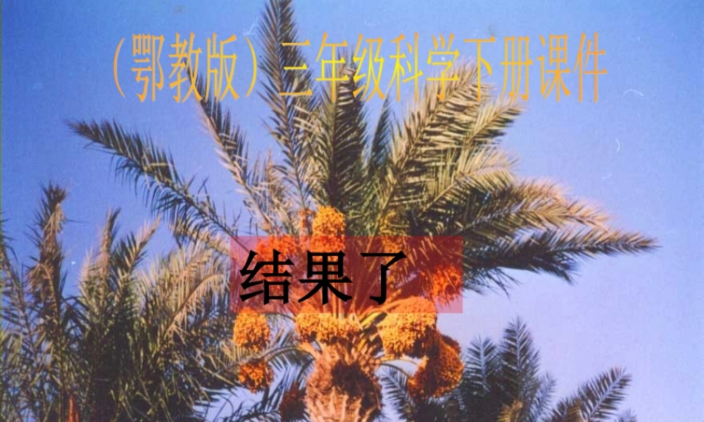 三年级科学下册 结果了1课件 鄂教版