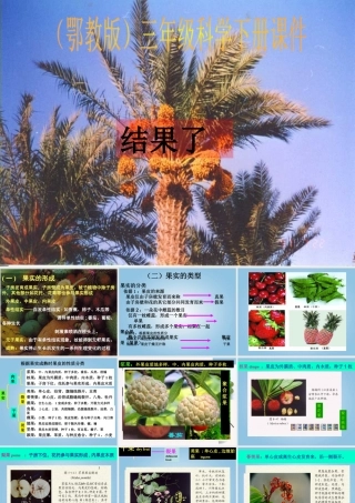 三年级科学下册 结果了1课件 鄂教版