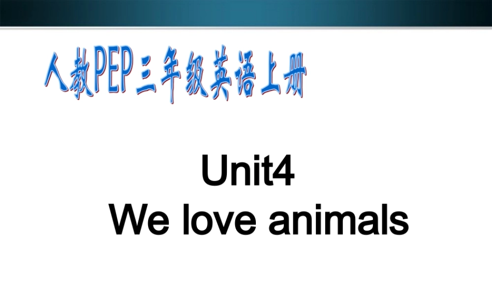 三年级英语上册 Unit 5(24)Unit4  We love animals课件 人教PEP