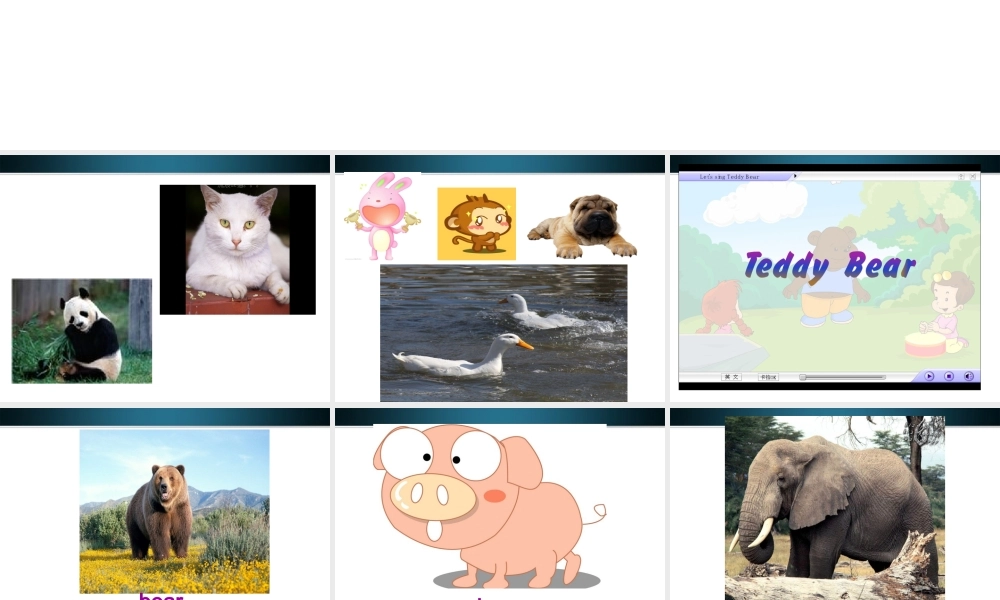 三年级英语上册 Unit 5(24)Unit4  We love animals课件 人教PEP