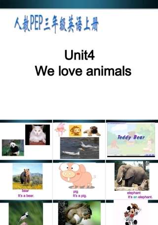 三年级英语上册 Unit 5(24)Unit4  We love animals课件 人教PEP