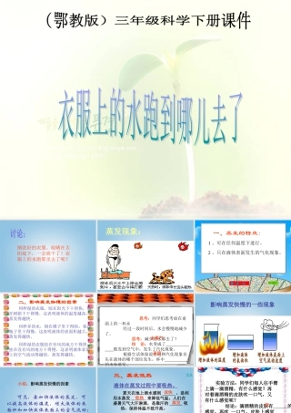 三年级科学下册 衣服上的水跑到哪儿去了1课件 鄂教版