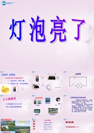 三年级科学下册《灯泡亮了》课件4 青岛版
