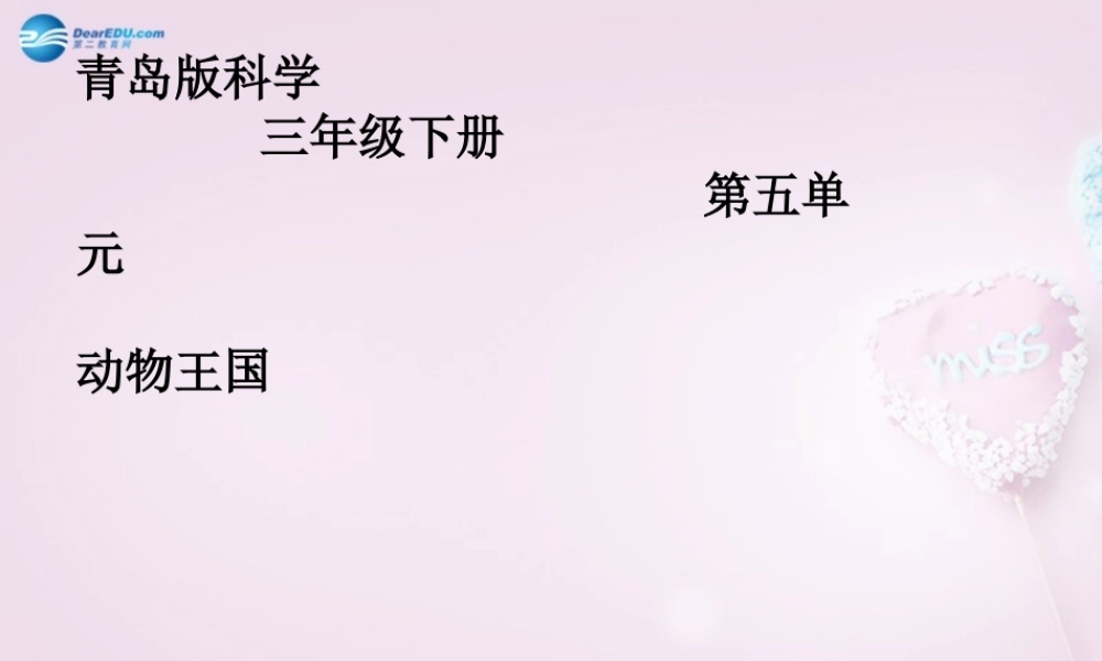 三年级科学下册《动物王国》课件 青岛版