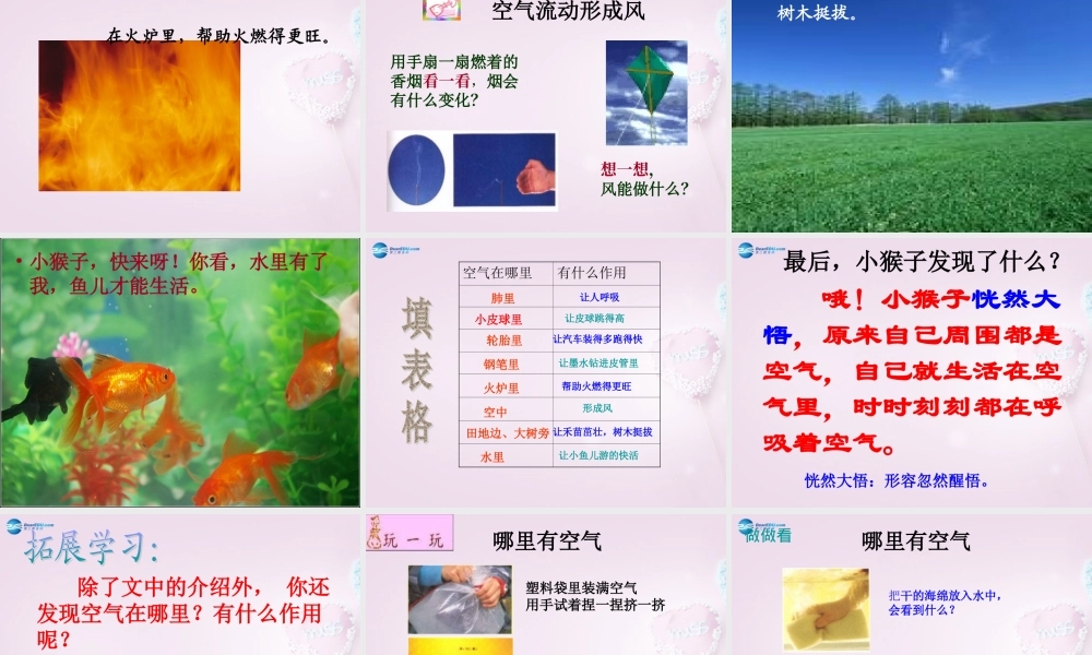 三年级科学下册《空气在哪里》课件1 青岛版