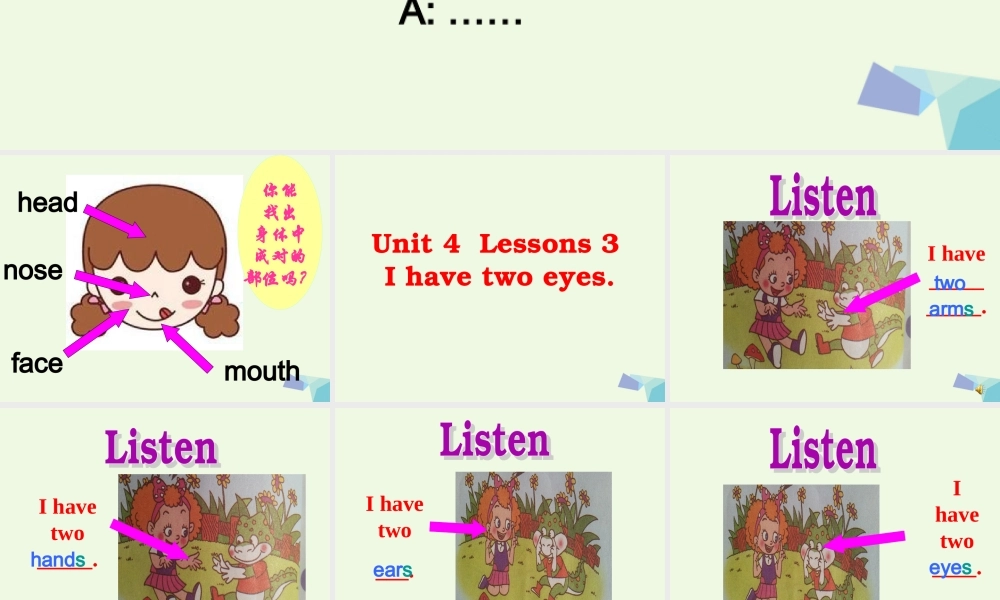 三年级英语上册 Unit 4 BodyLesson 3 I have two eyes课件 鲁科版-鲁科版小学三年级上册英语课件