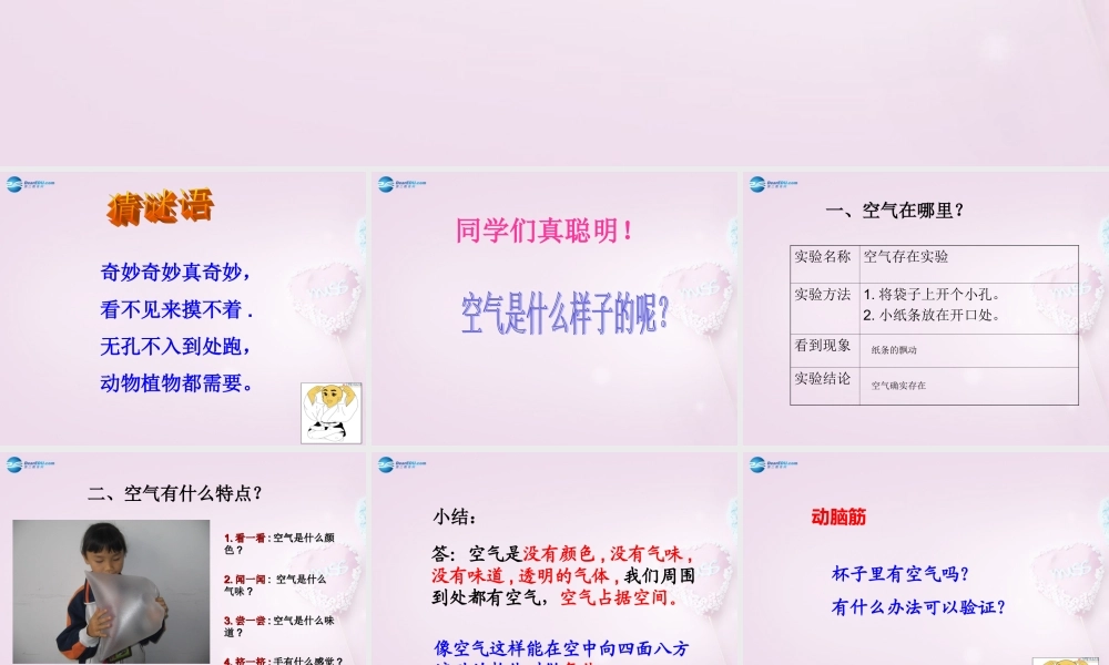 三年级科学下册《空气在哪里》课件4 青岛版