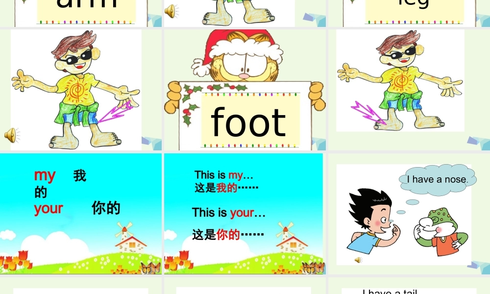 三年级英语上册 Unit 4 Body复习课件 鲁科版-鲁科版小学三年级上册英语课件