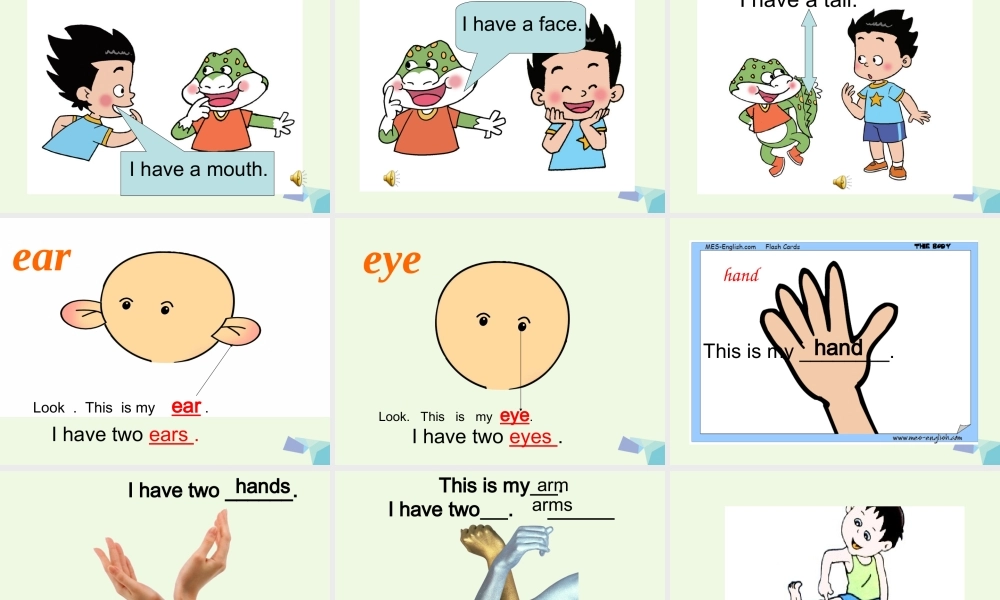 三年级英语上册 Unit 4 Body复习课件 鲁科版-鲁科版小学三年级上册英语课件