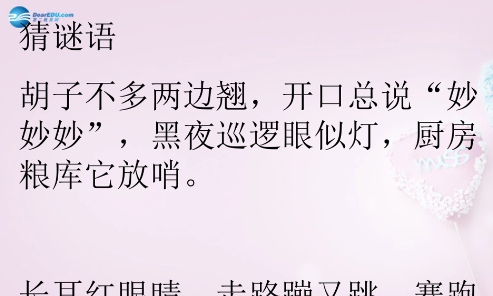 三年级科学下册《猫和兔》课件2 青岛版