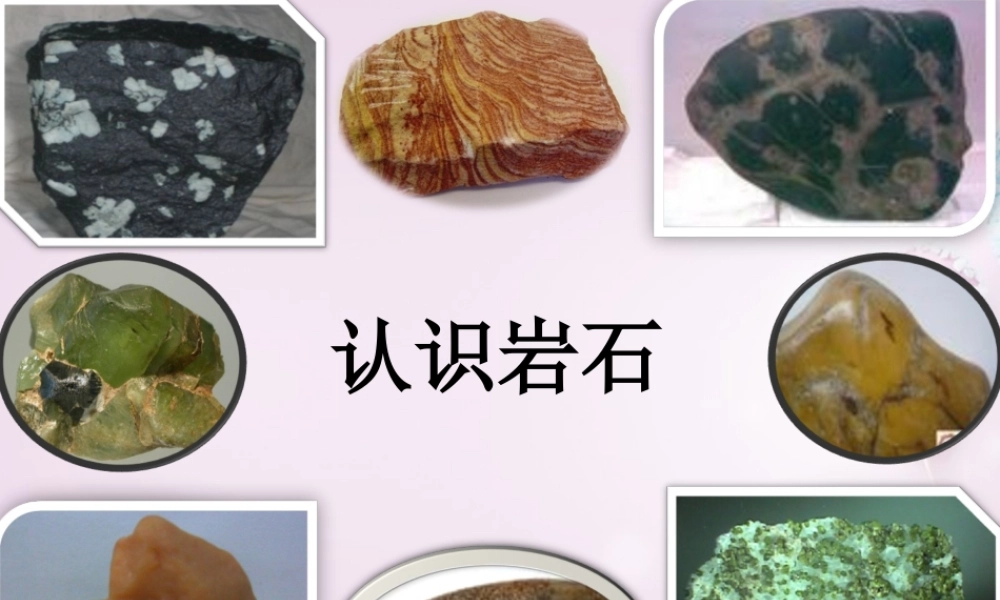 三年级科学下册《认识岩石》课件3 青岛版