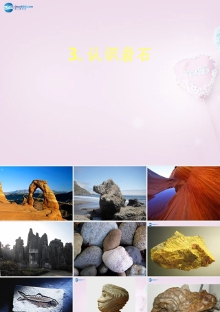 三年级科学下册《认识岩石》课件4 青岛版