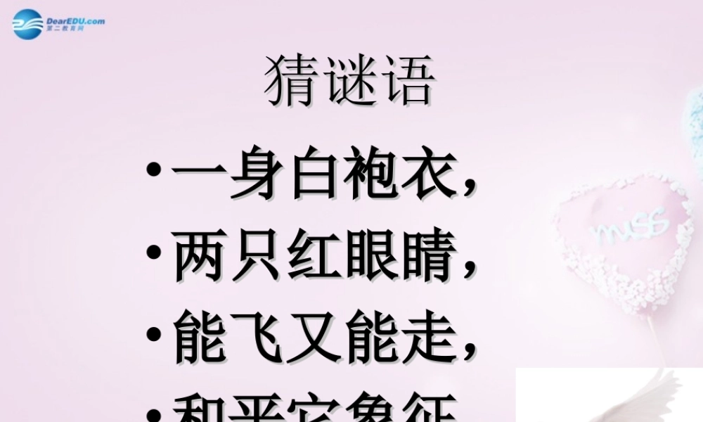 三年级科学下册《它们都是鸟》课件1 青岛版