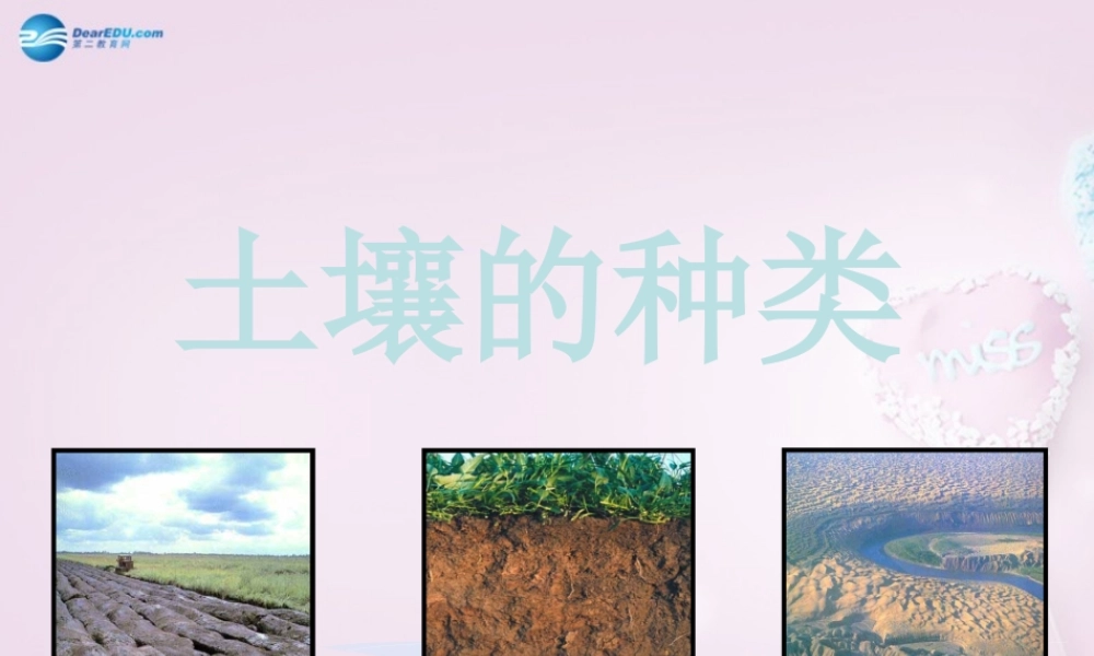 三年级科学下册《土壤的种类》课件1 青岛版