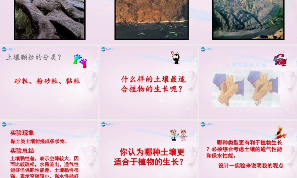 三年级科学下册《土壤的种类》课件1 青岛版