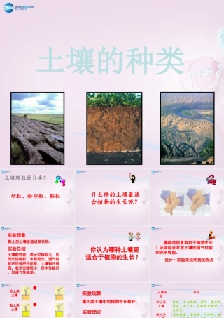 三年级科学下册《土壤的种类》课件1 青岛版