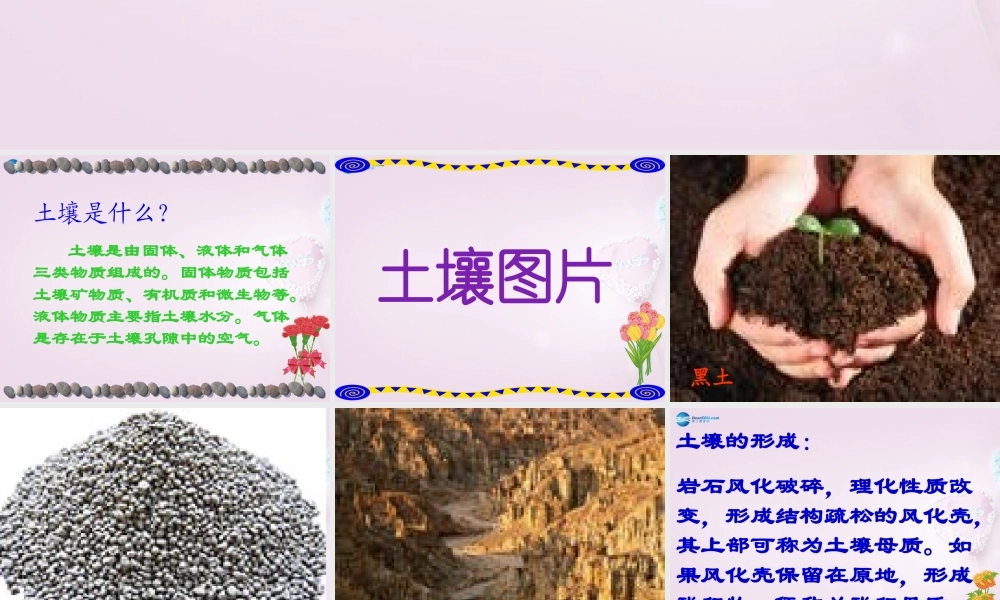 三年级科学下册《土壤的种类》课件2 青岛版