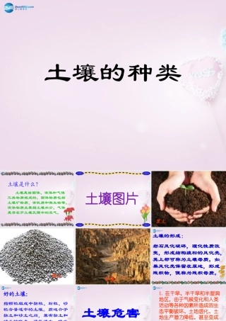 三年级科学下册《土壤的种类》课件2 青岛版