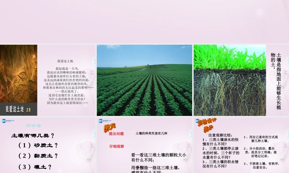 三年级科学下册《土壤的种类》课件3 青岛版