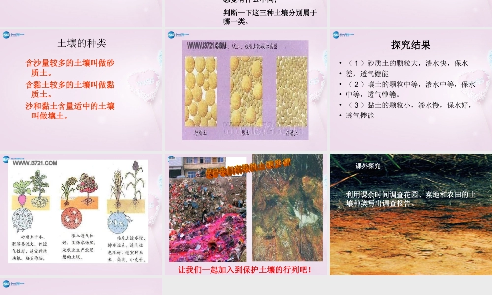 三年级科学下册《土壤的种类》课件3 青岛版