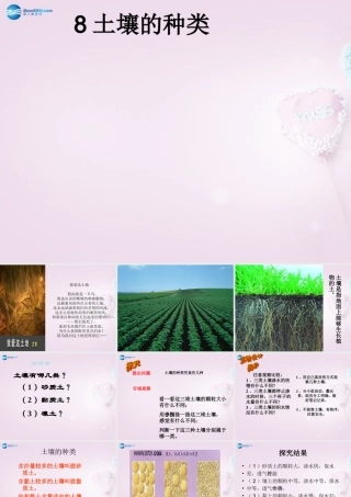 三年级科学下册《土壤的种类》课件3 青岛版
