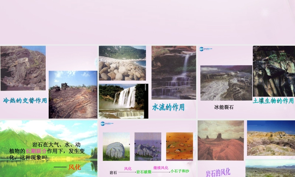 三年级科学下册《土壤里有什么》课件1 青岛版