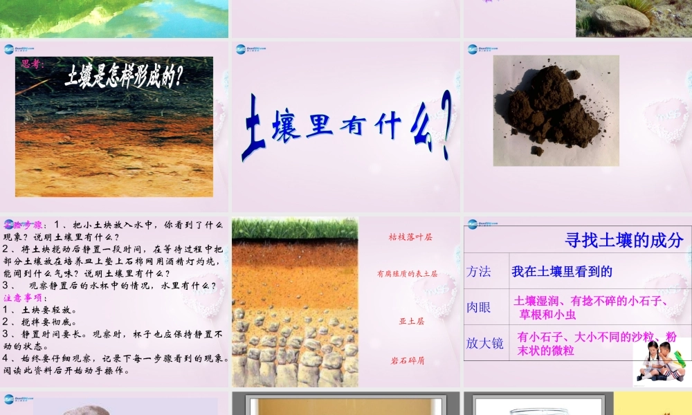 三年级科学下册《土壤里有什么》课件1 青岛版