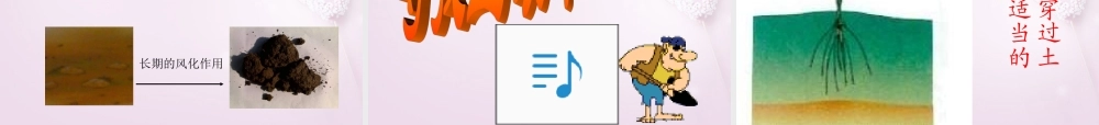 三年级科学下册《土壤里有什么》课件1 青岛版