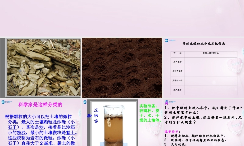 三年级科学下册《土壤里有什么》课件2 青岛版