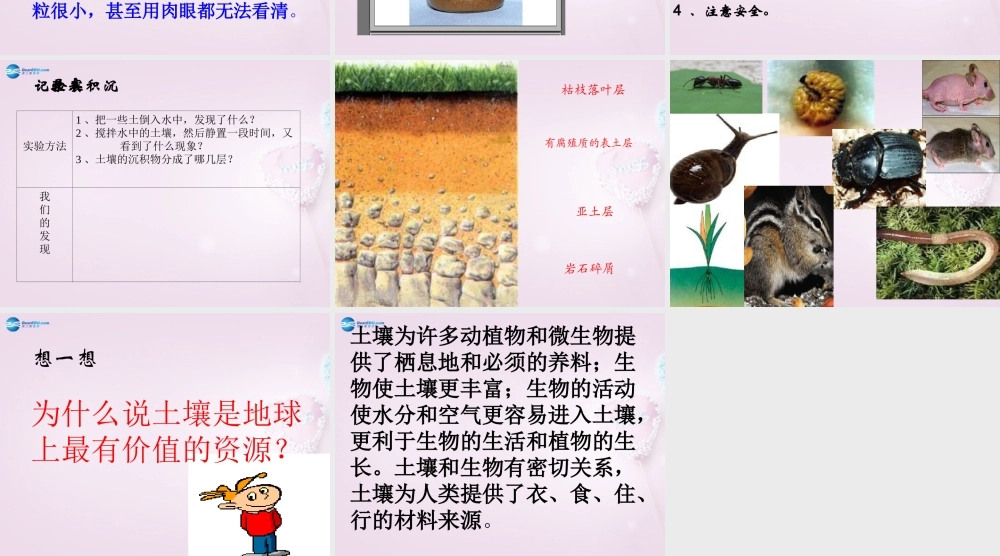 三年级科学下册《土壤里有什么》课件2 青岛版