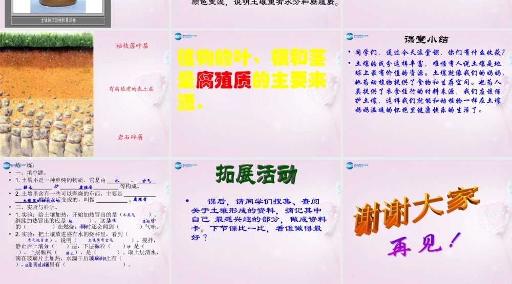 三年级科学下册《土壤里有什么》课件3 青岛版