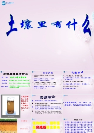 三年级科学下册《土壤里有什么》课件3 青岛版