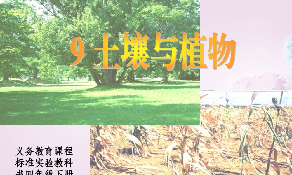 三年级科学下册《土壤与植物》课件1 青岛版