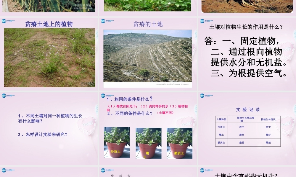 三年级科学下册《土壤与植物》课件1 青岛版