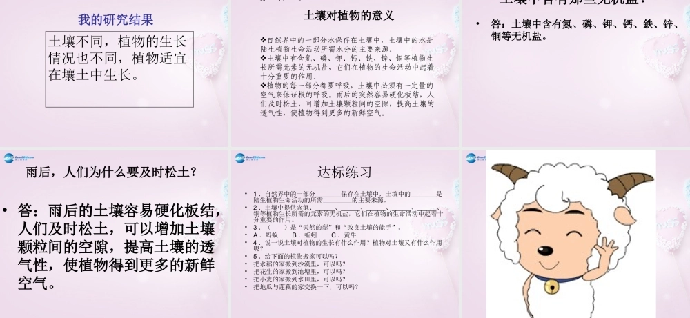 三年级科学下册《土壤与植物》课件1 青岛版