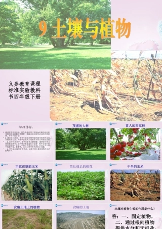 三年级科学下册《土壤与植物》课件1 青岛版